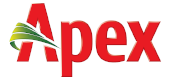 Apex
